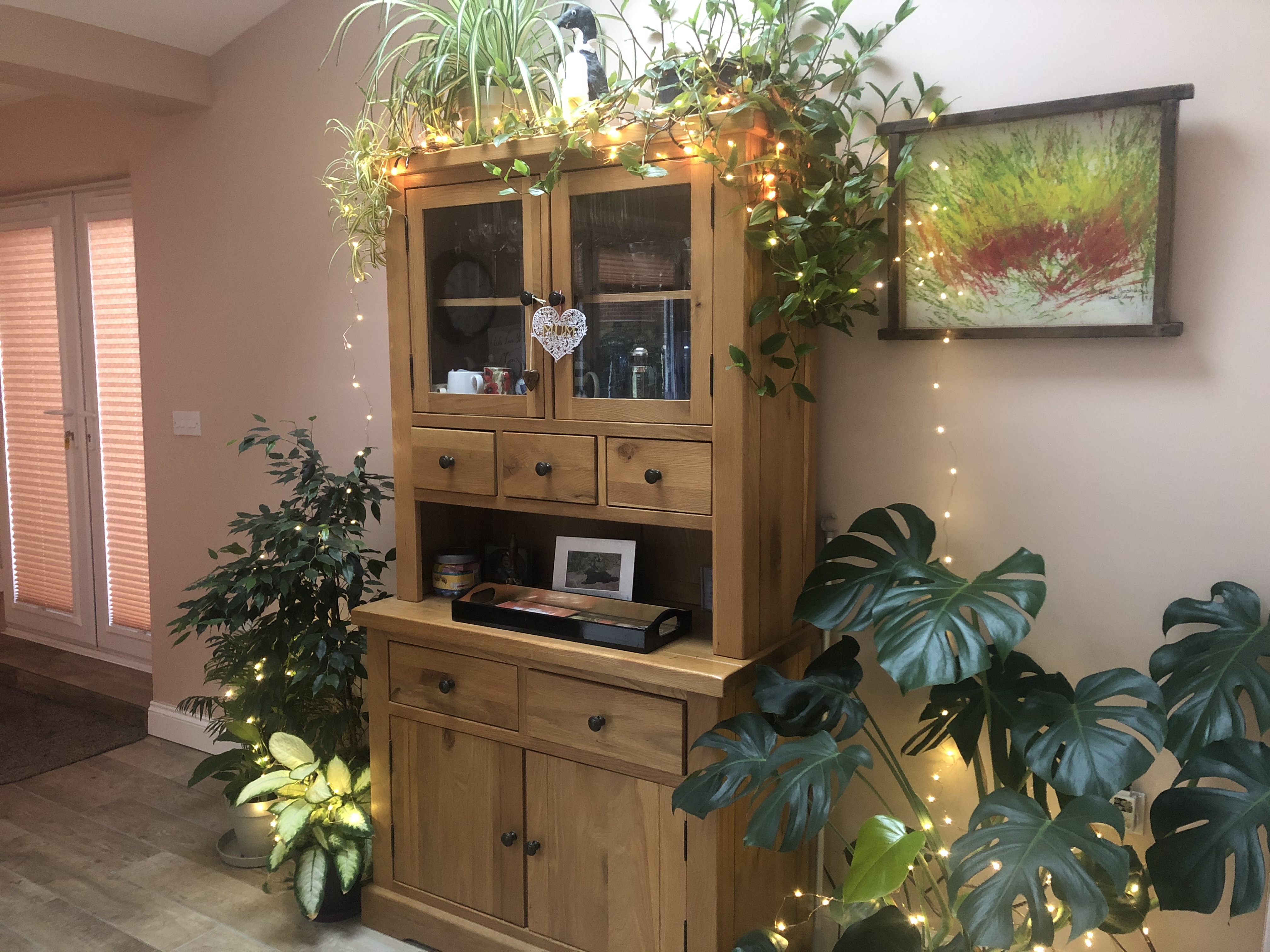 Oak cupboard covered in plants, trailing from above and large potted plants to each side.