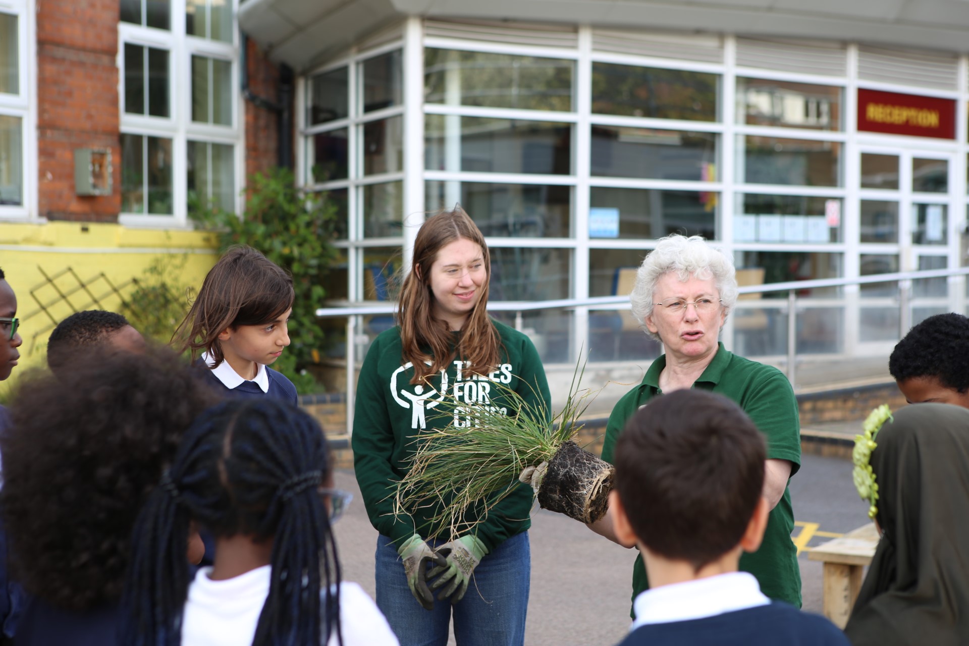 School children planting trees