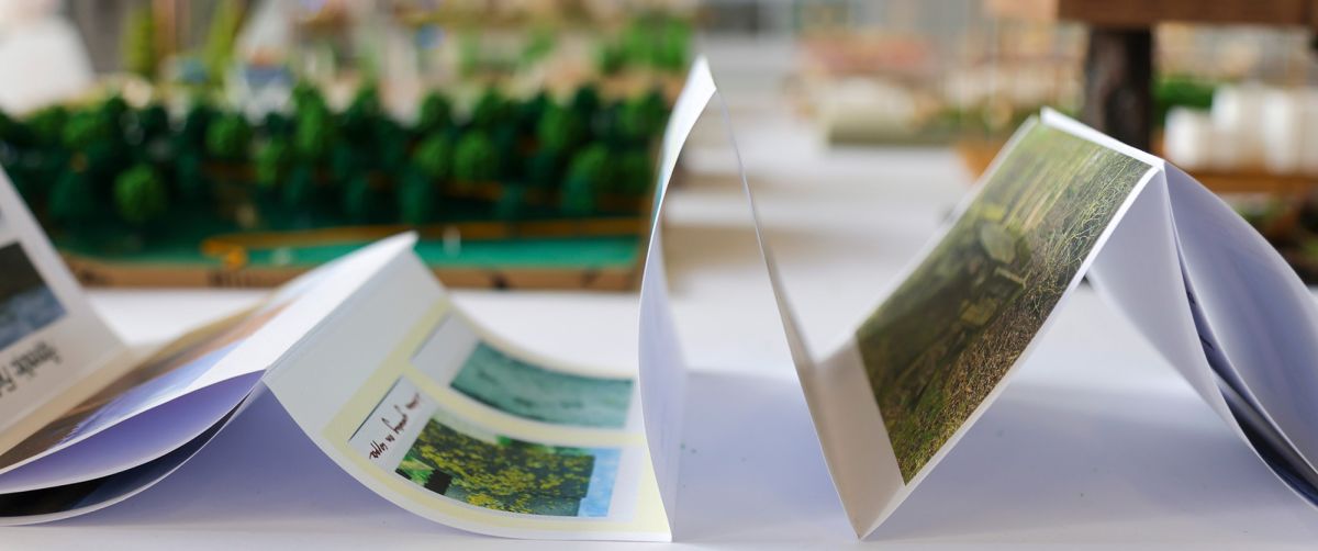 Photograph of end of year exhibition, showing excerpts of essays on Rainham Marshes, taken from the assignment for Contemporary Theories of Landscape.