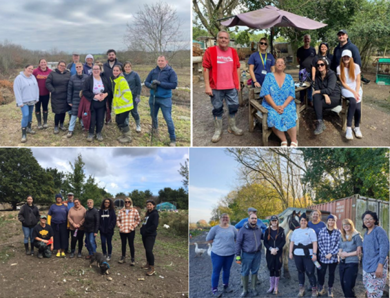 Members of STAART and allies at the four volunteering days at the Happy Pants Ranch