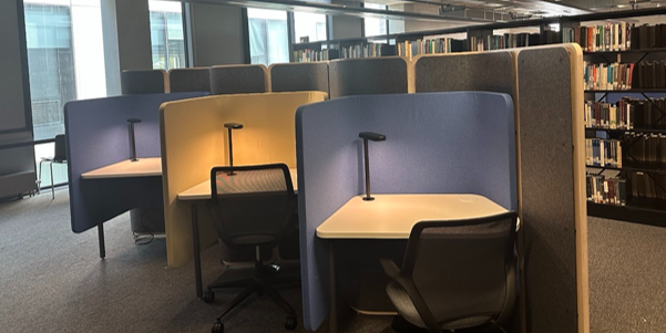 A row of individual study booths in the library, each with high fabric-covered partitions, a desk, task lighting and an adjustable chair. Bookshelves filled with library books are visible behind the study booths, and large windows provide natural light across the space.