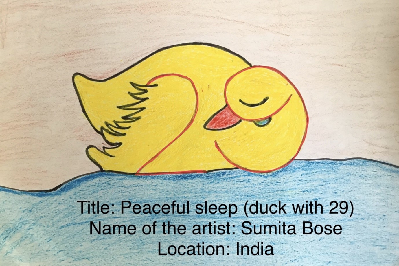 Drawing of a sleeping duck incorporating the number 29
