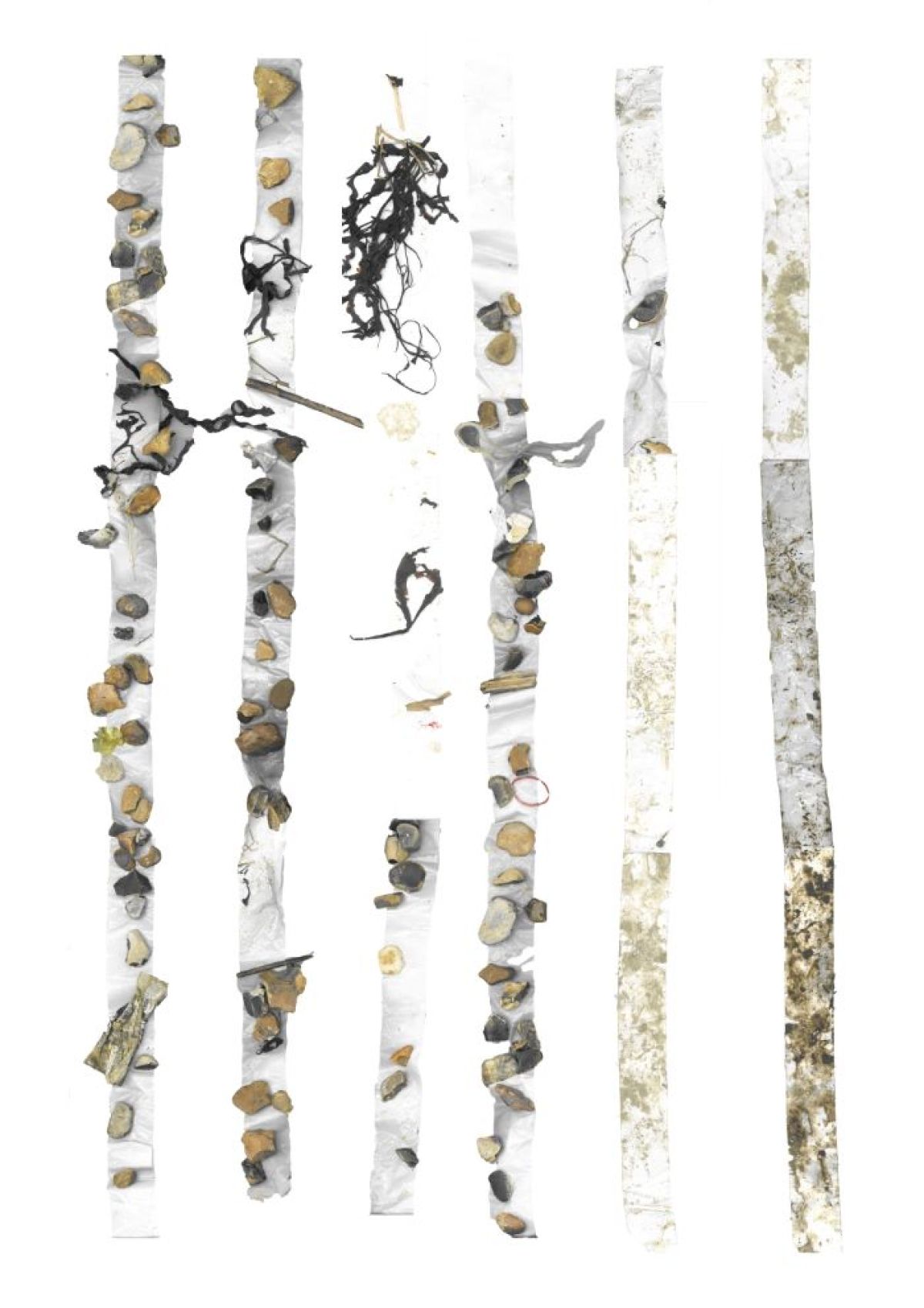 Image showing drawings and work from MA Landscape Architecture student Alicia Jane India Howitt