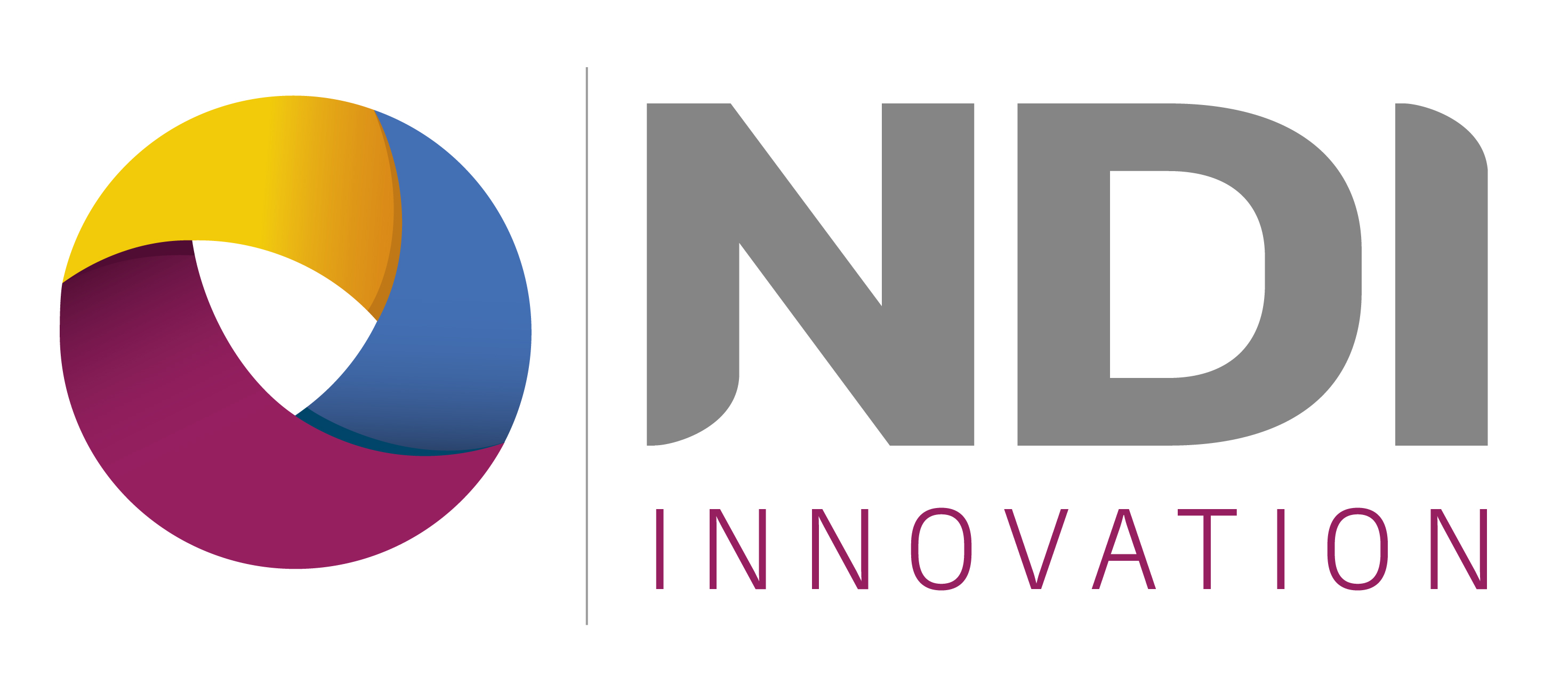 NDI project logo
