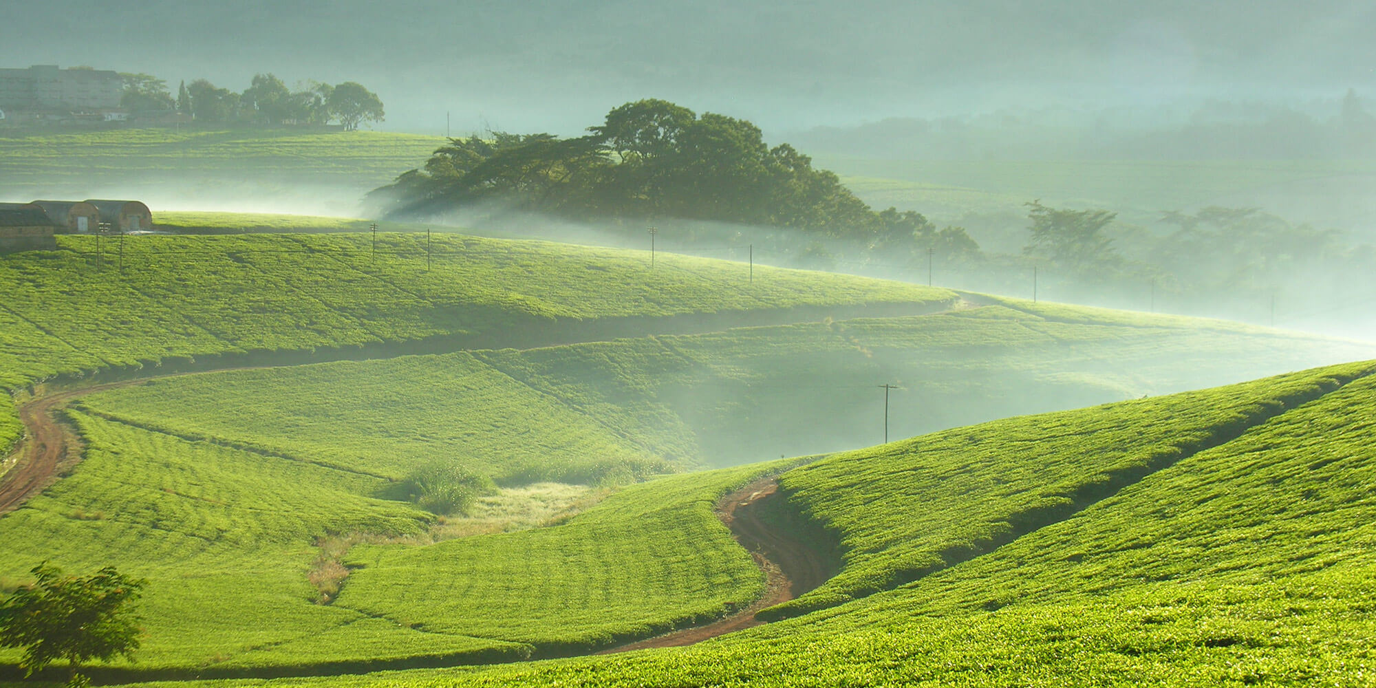 Natural Resources Institute University of Greenwich