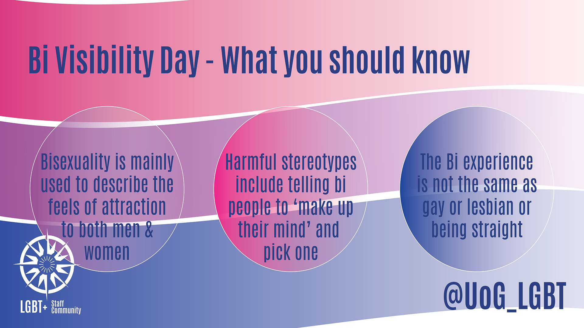 Bi Visibility Day 23 September Articles University of Greenwich