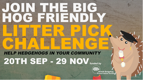 Litter pick challenge