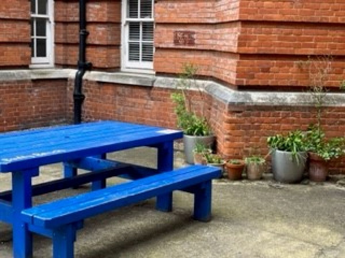 Buddy Bench in front of potted plants