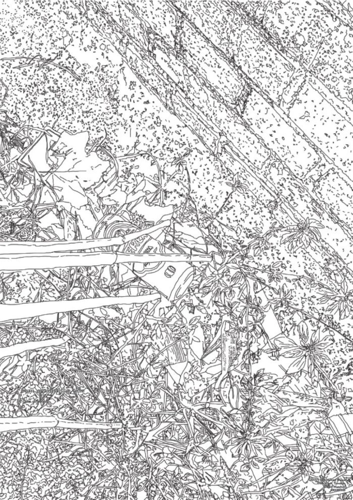 Image showing drawings and work from MLA student Imogen Katie Morsman