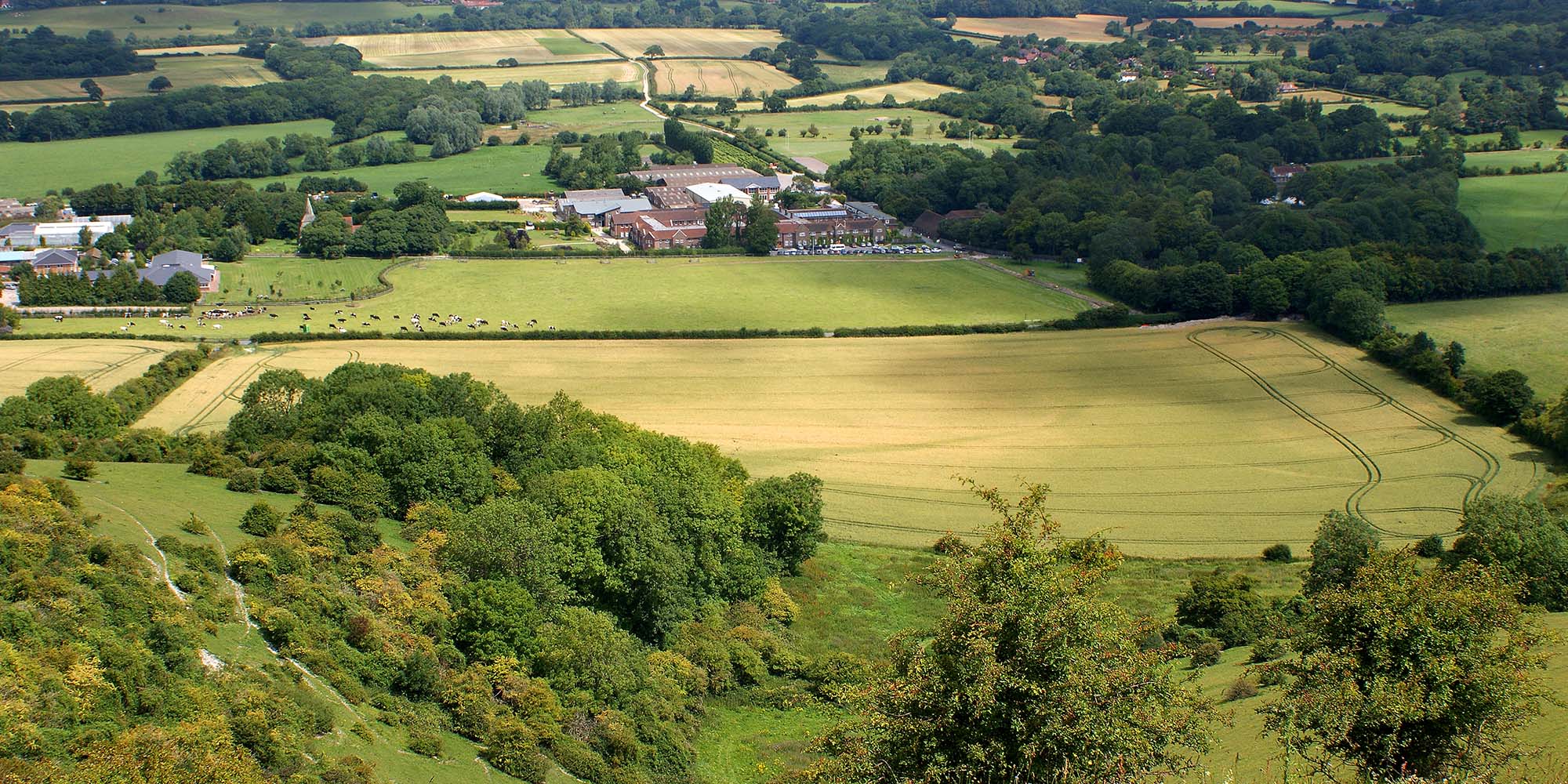 Landscape around Plumpton College