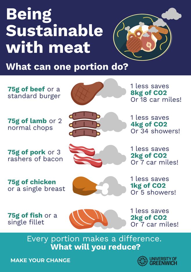 Meat Vs CO2 Poster