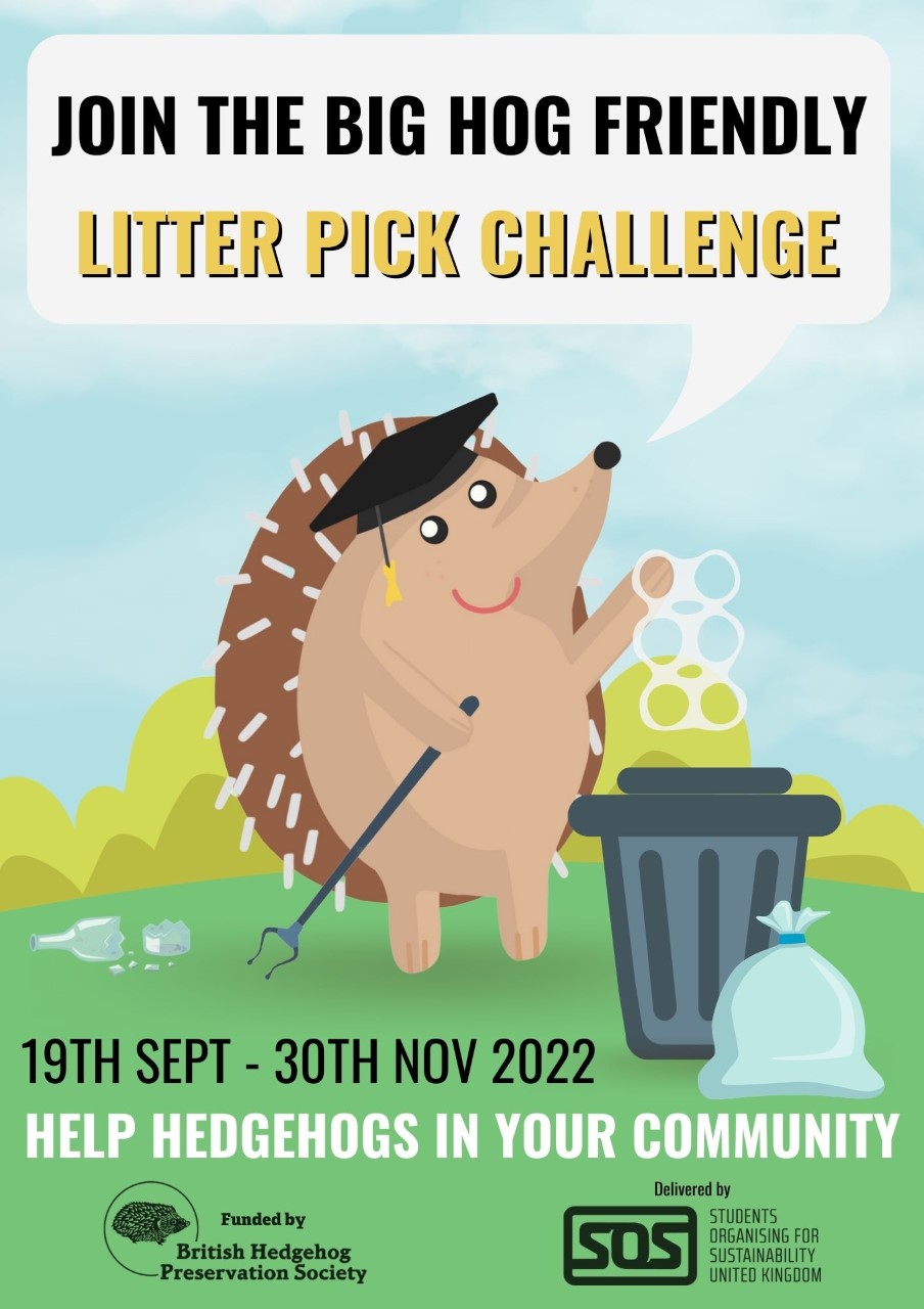 Big Hog Friendly Litter Pick Challenge Poster