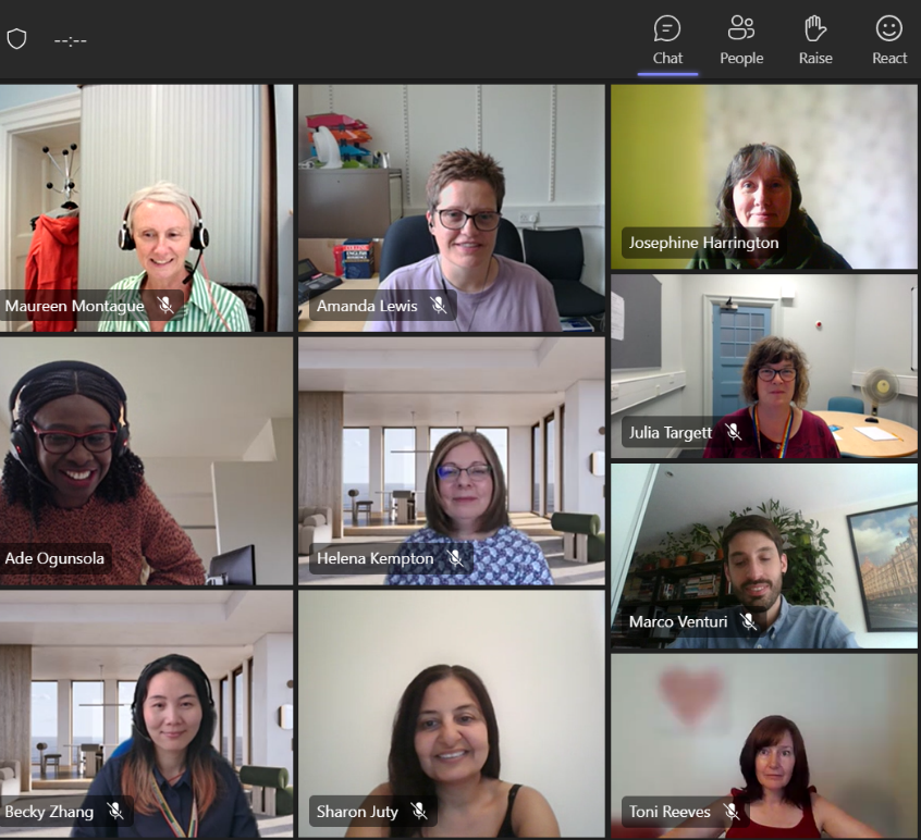 A screenshot of a video conference