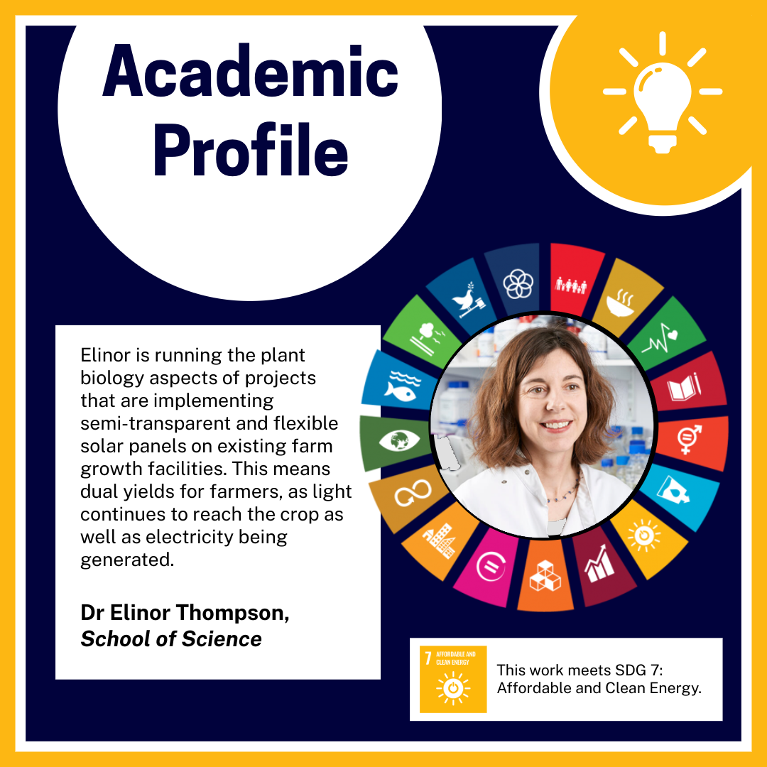 Staff Profile School of Science SDG7