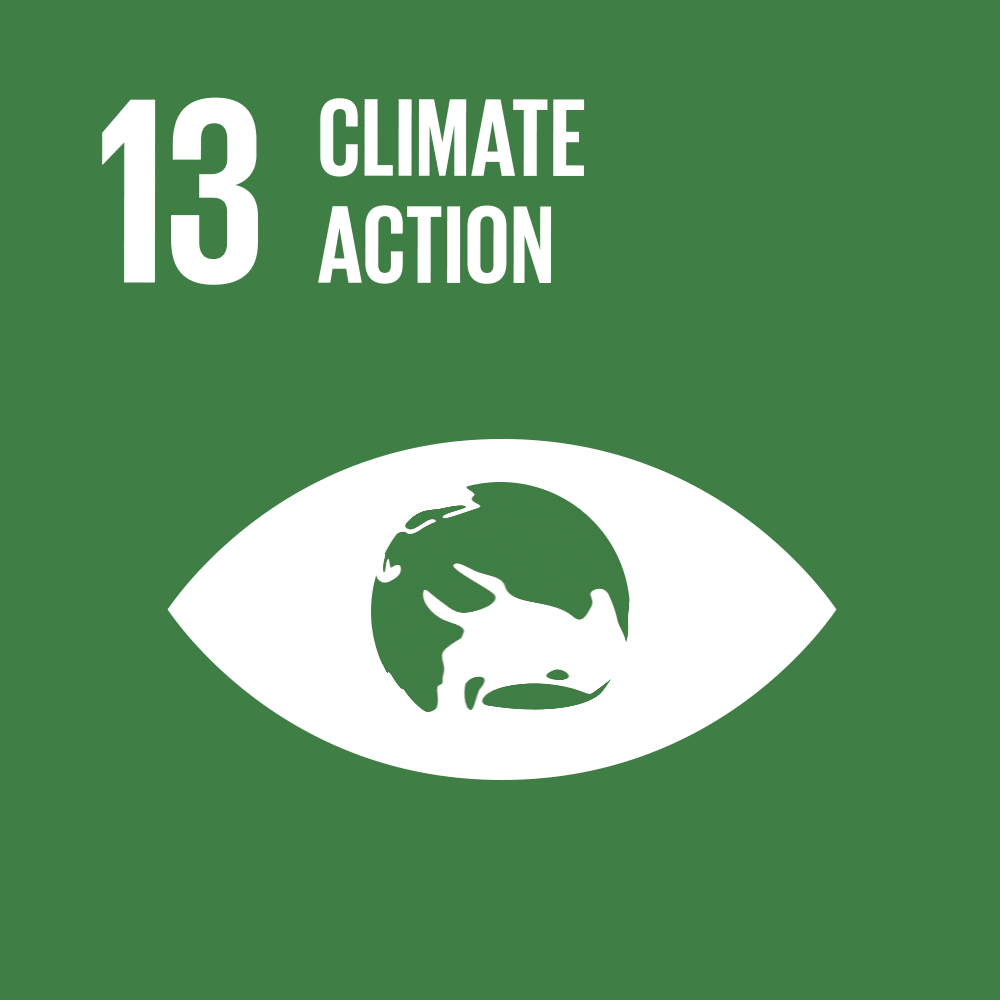 SDG13