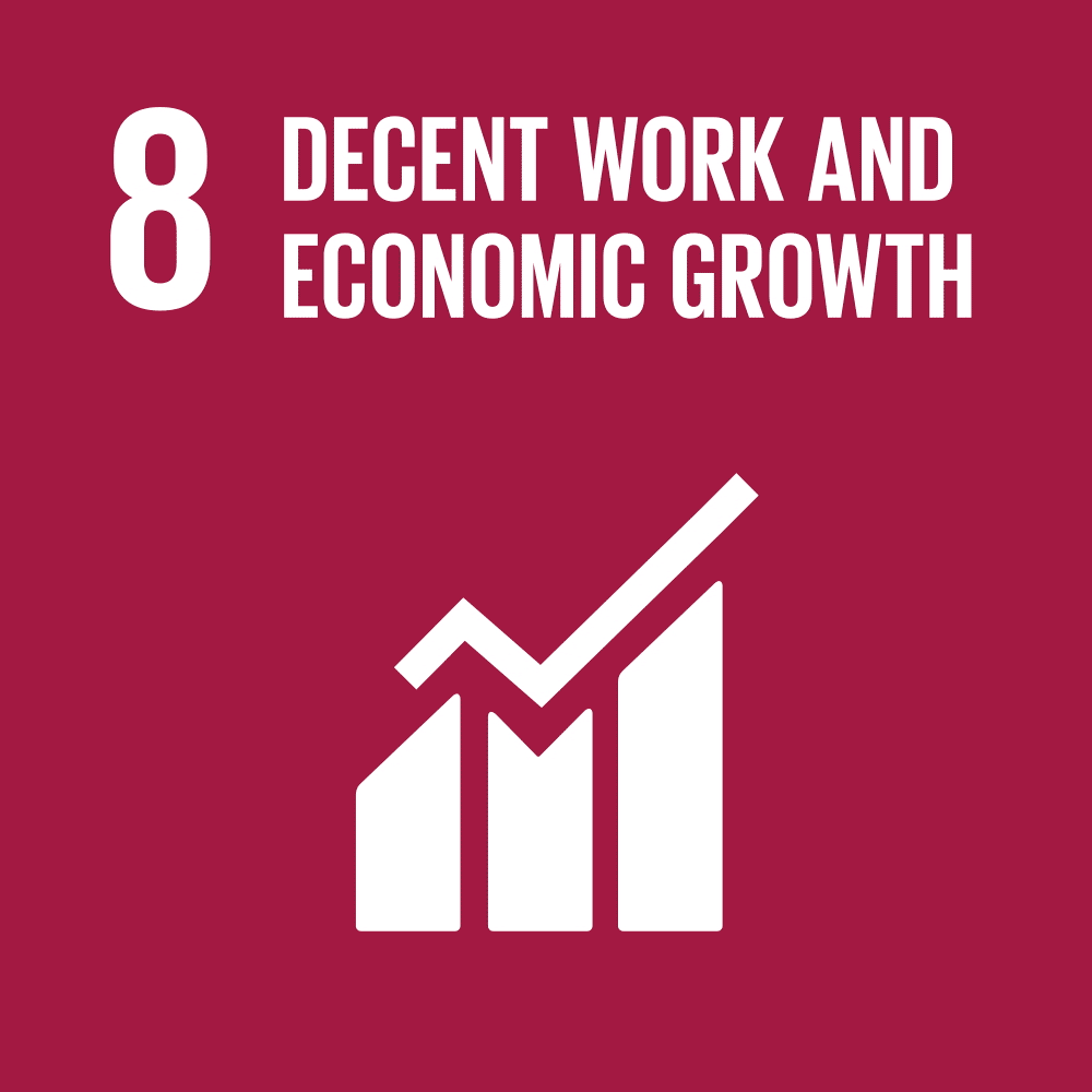 SDG8