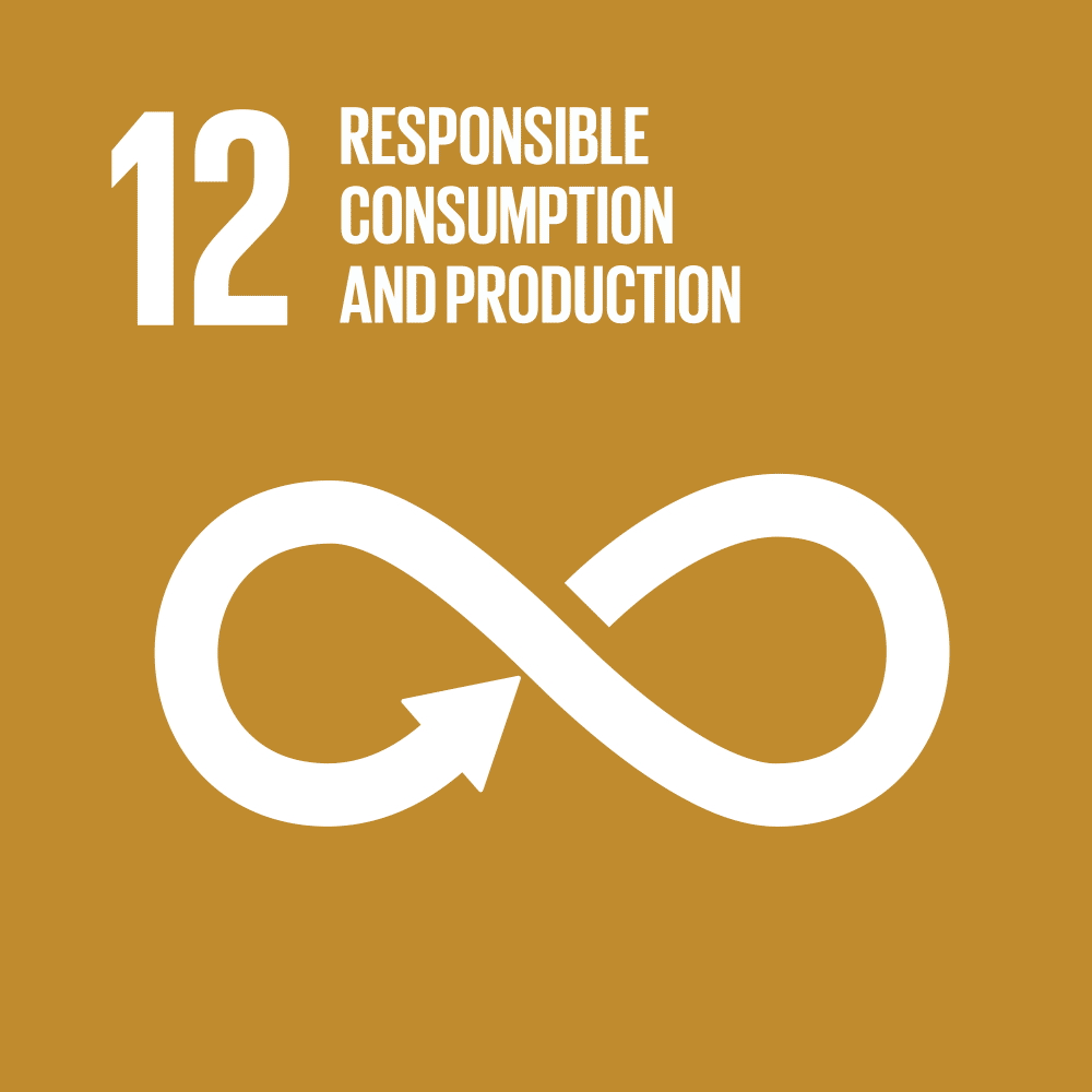 SDG12